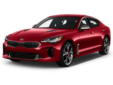 Stinger CK 2018-