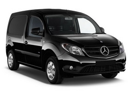 Citan W415 2012-2021