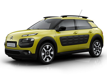 C4 Cactus 2014-2022